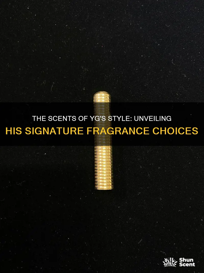 what cologne does yg wear