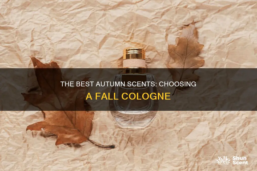 what cologne for fall