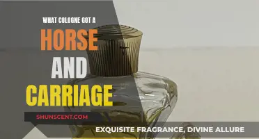 The Horse-Drawn Carriage: A Cologne's Signature Scent