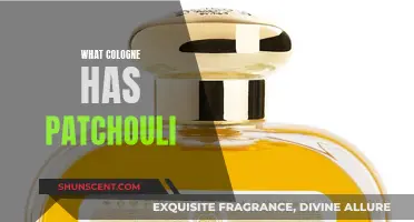 The Best Patchouli Colognes for Men