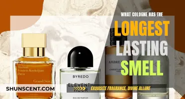 Longest-Lasting Colognes: Scents That Endure