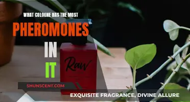 Colognes with Powerful Pheromones: A Definitive Guide