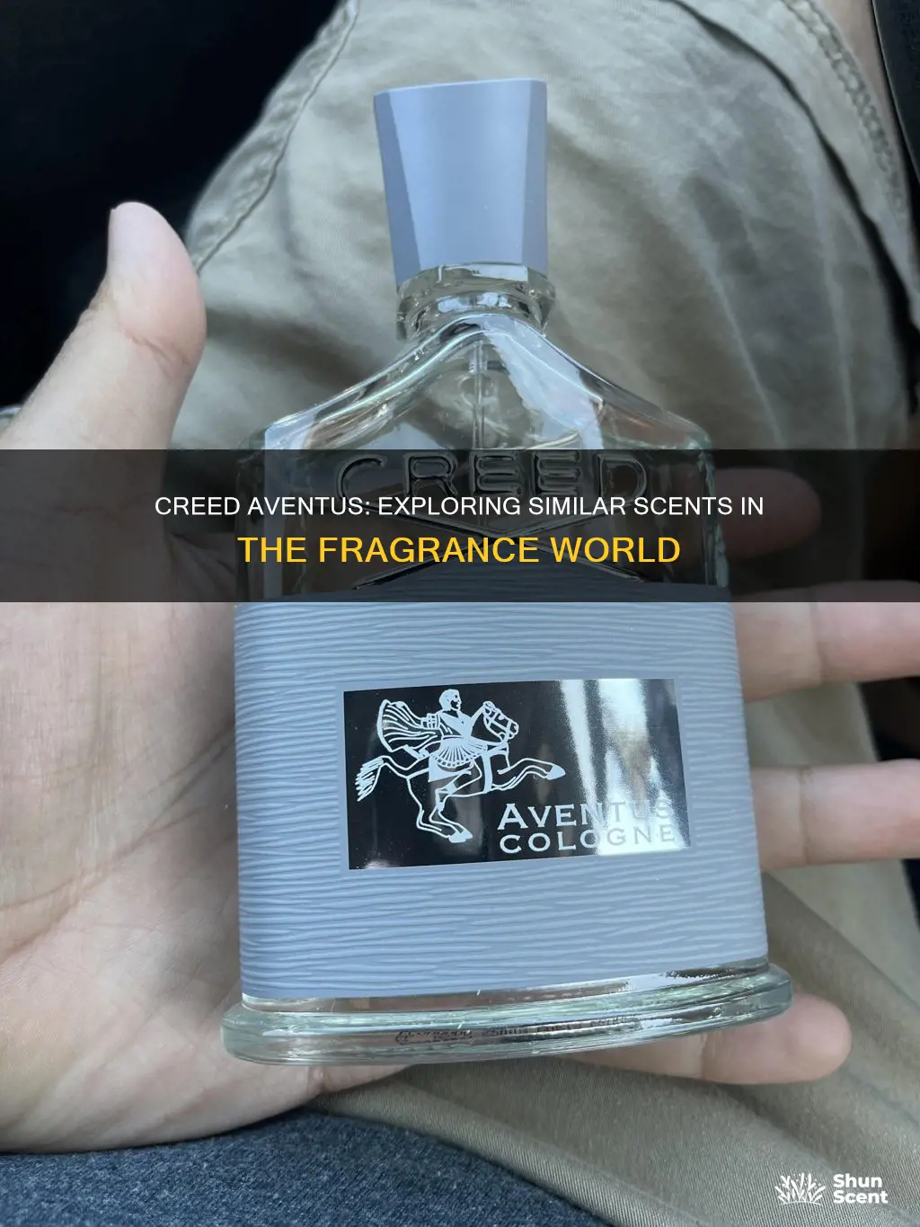 what cologne have similar smells like creed aventus