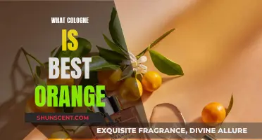 The Best Orange-Based Colognes for Men