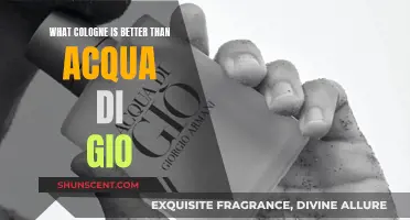 Colognes That Surpass the Iconic Acqua di Gio