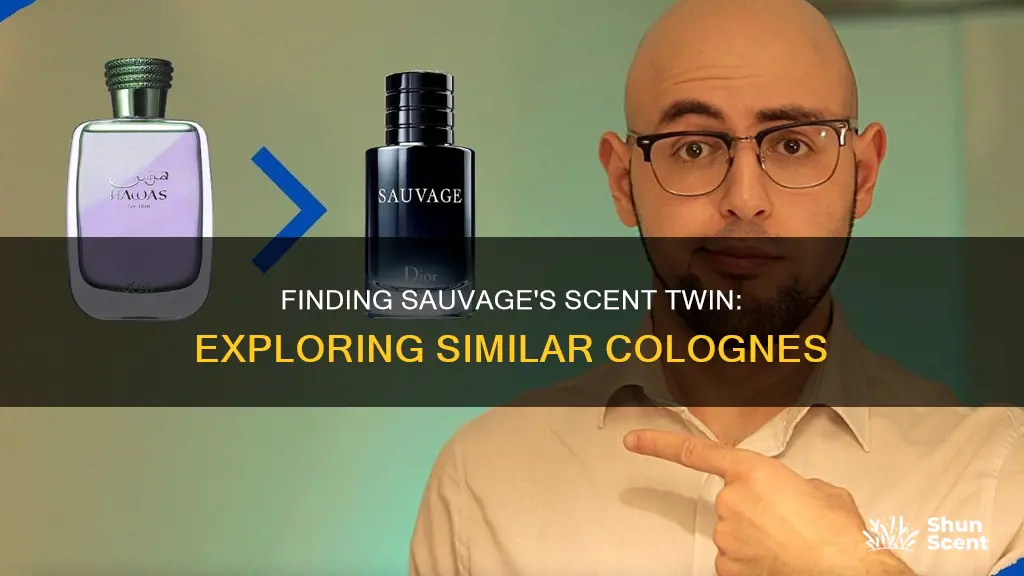 what cologne is close to sauvage