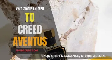 Creed Aventus: Finding the Perfect Cologne Match