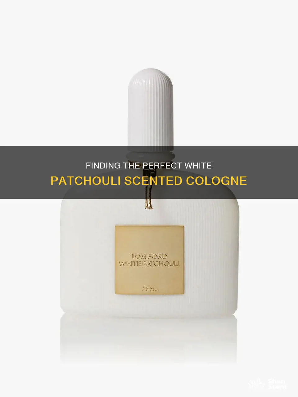 what cologne is closest to white patchouli