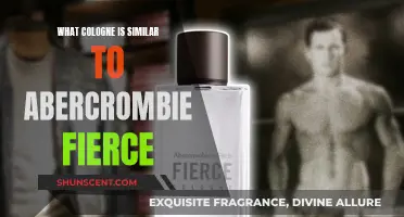 Similar Scents to Abercrombie Fierce: Top Cologne Alternatives