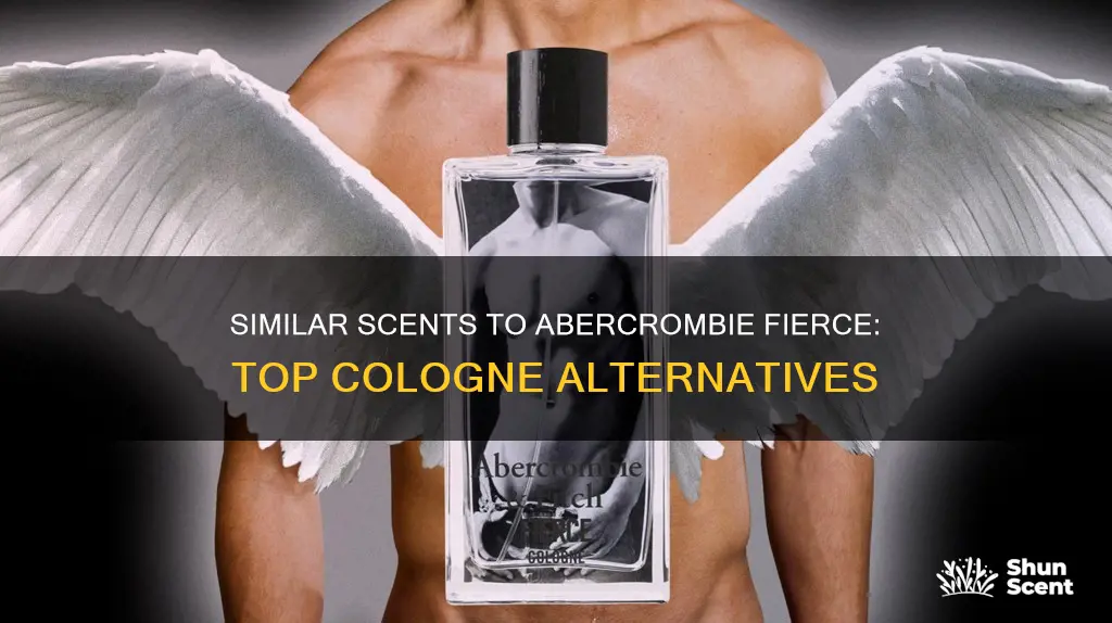 what cologne is similar to abercrombie fierce