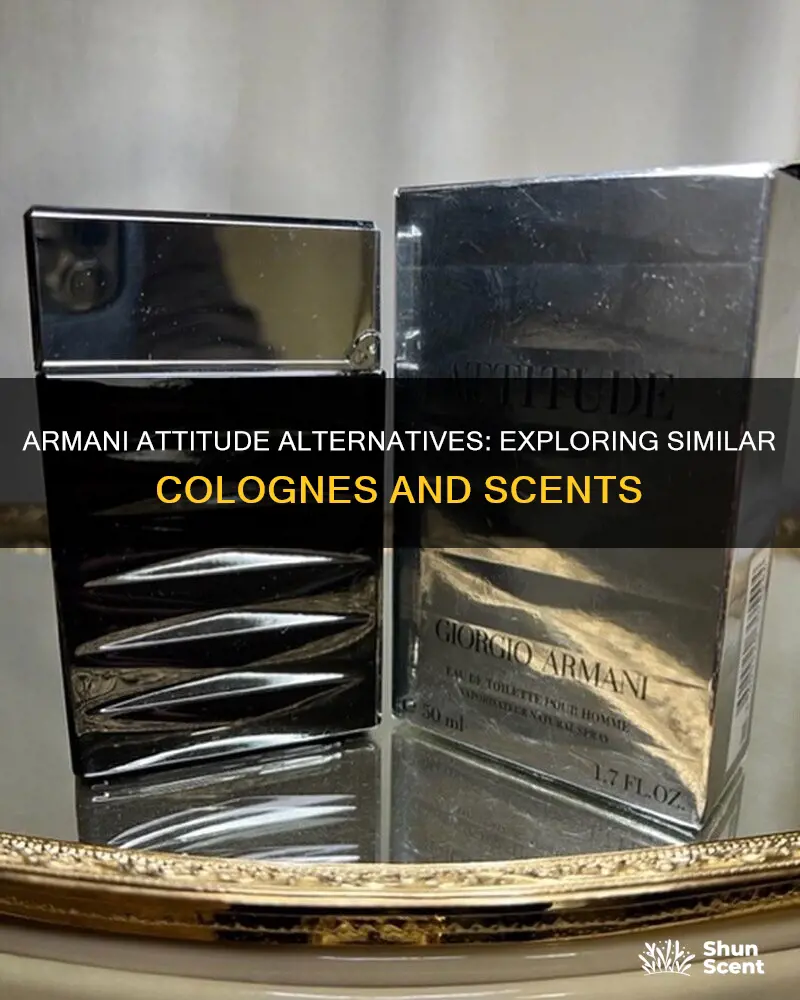 what cologne is similar to armani attitude