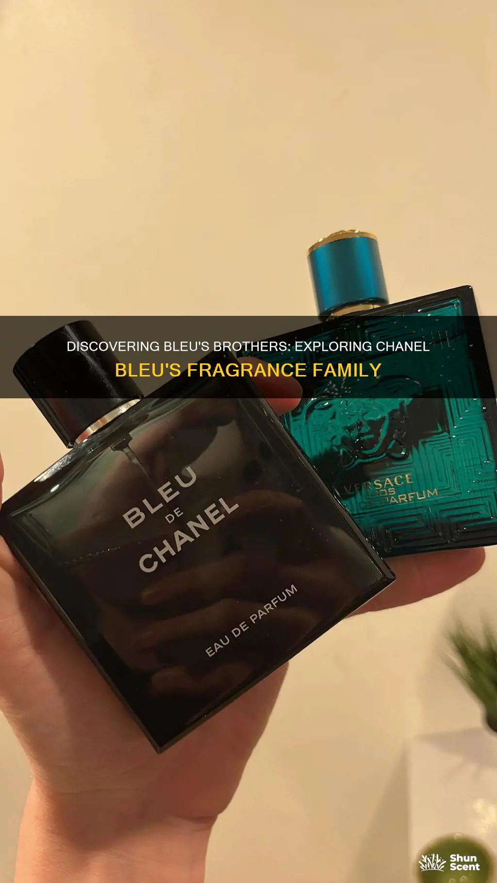 what cologne is similar to chanel bleu