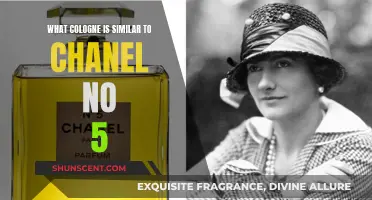 Classic Chanel No.5: Similar Colognes for Men