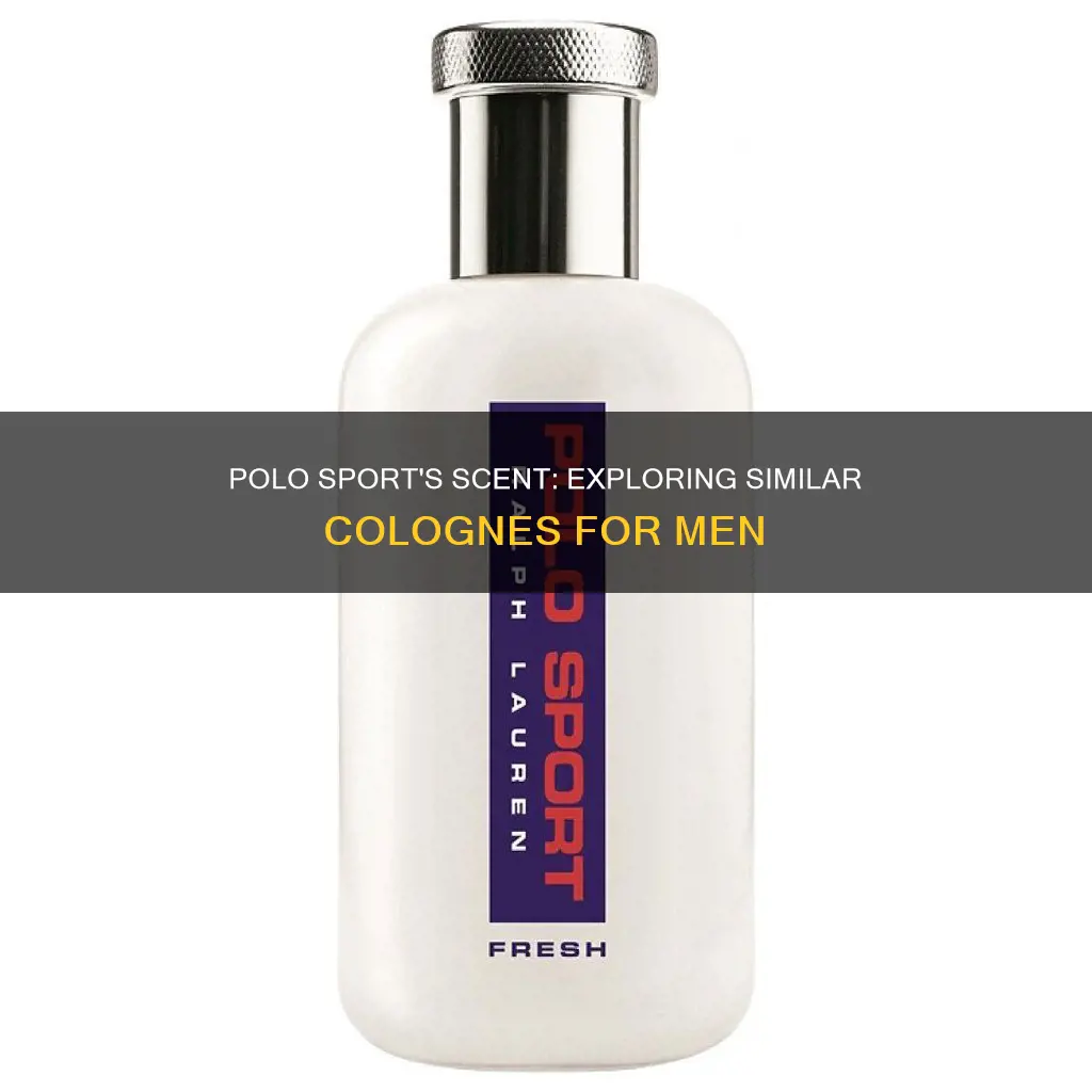 what cologne is similar to polo sport