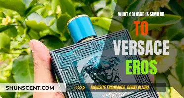 Exploring Colognes Similar to Versace Eros: A Fragrant Journey