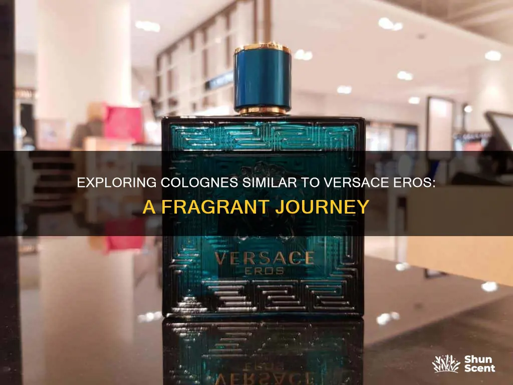 what cologne is similar to versace eros