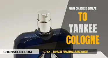 Explore Yankee-Inspired Colognes: Top Alternatives for Men