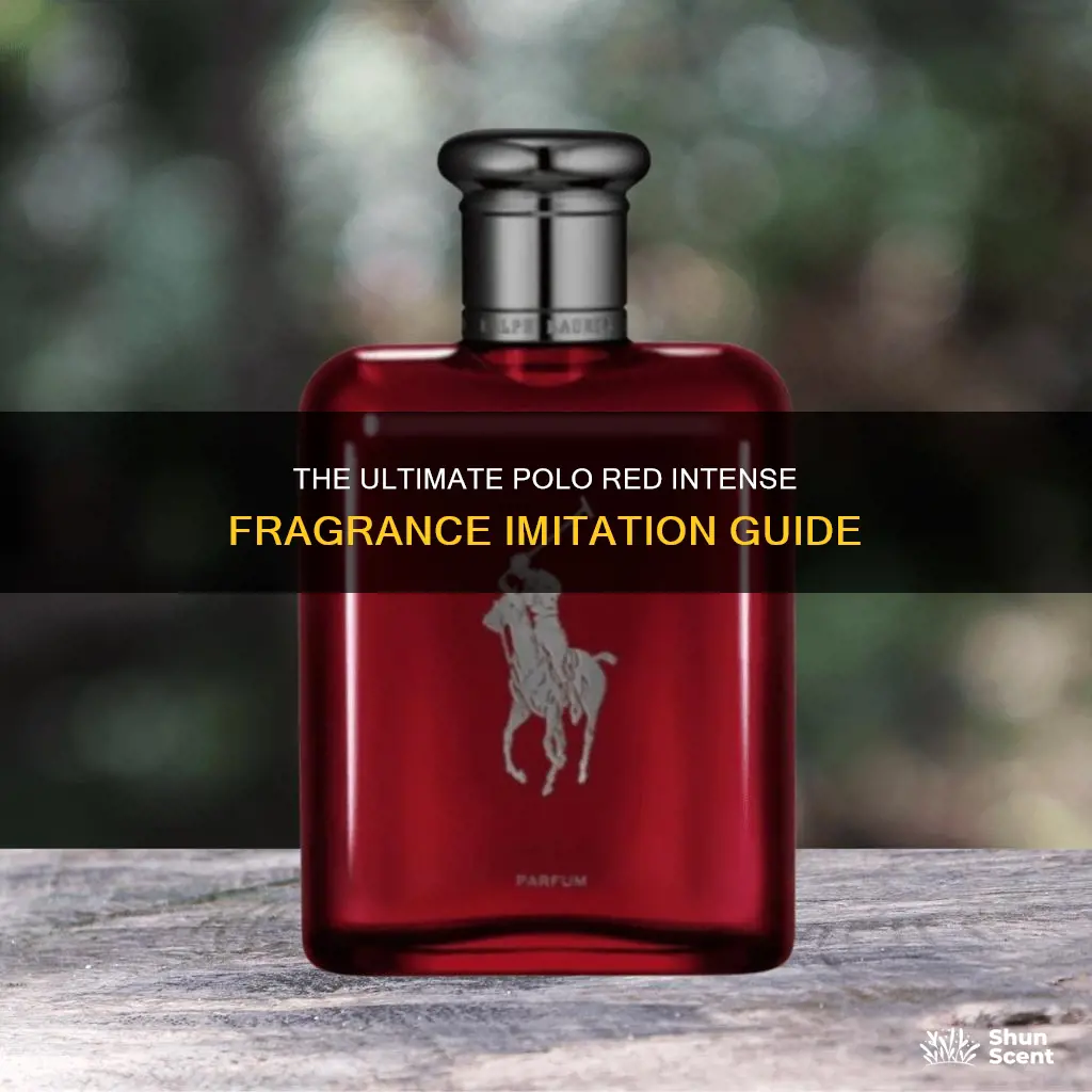 what cologne is the imitation of polo red intense