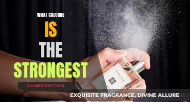 The Most Powerful Colognes: Long-Lasting and Unforgettable