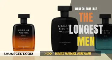 Long-Lasting Scents: Best Colognes for Men That Endure