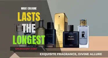 The Best Long-Lasting Colognes for Men: Enduring Fragrances