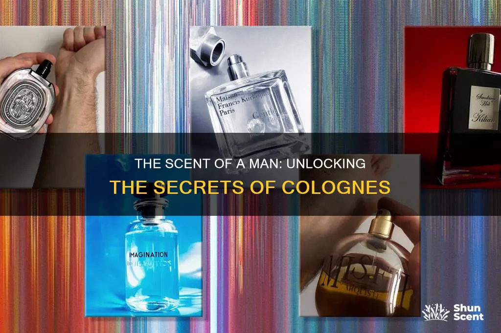 what cologne says about a man