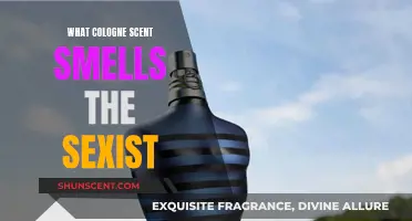 The Most Seductive Cologne Scents for Men: An Exploration