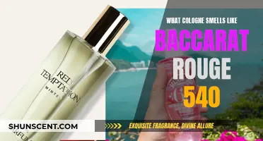 Similar Scents: Colognes That Smell Like Baccarat Rouge 540