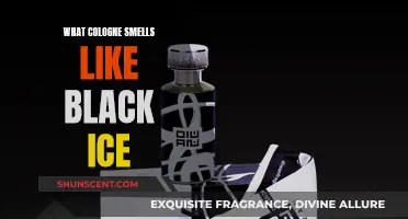 Black Ice: Discovering the Dark, Cool Fragrance Notes