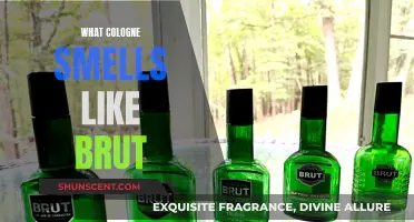 The Scent of Brut: Decoding Similar Colognes