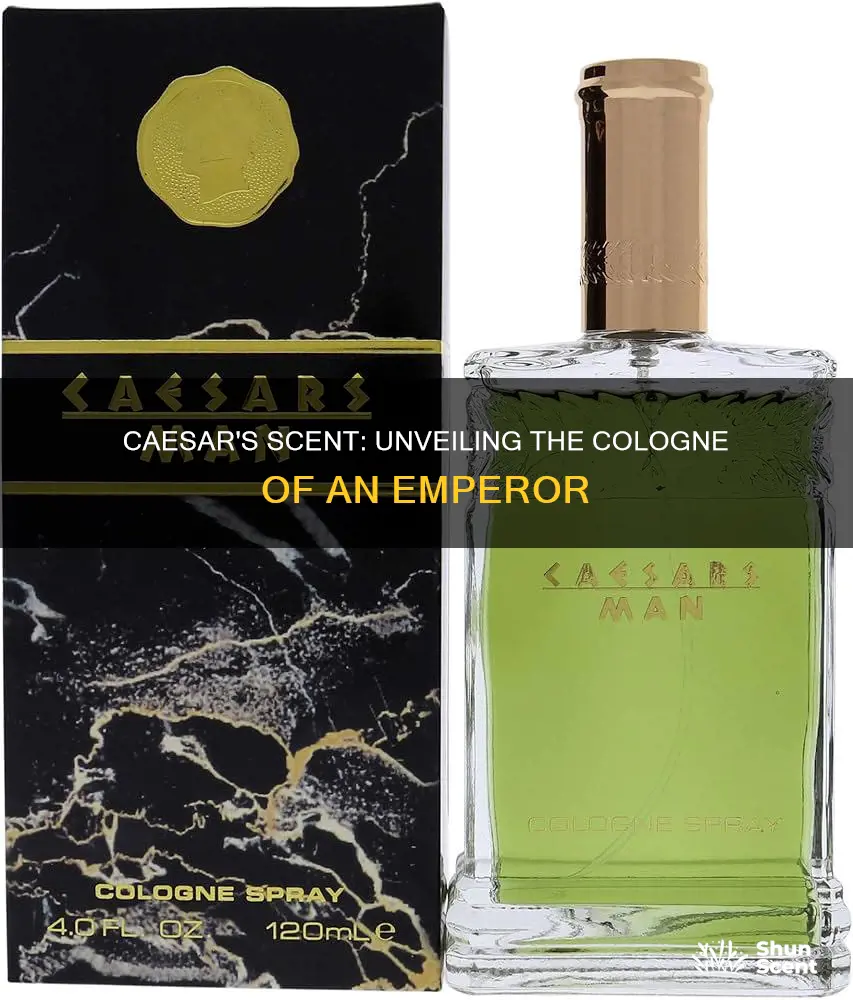 what cologne smells like caesars man