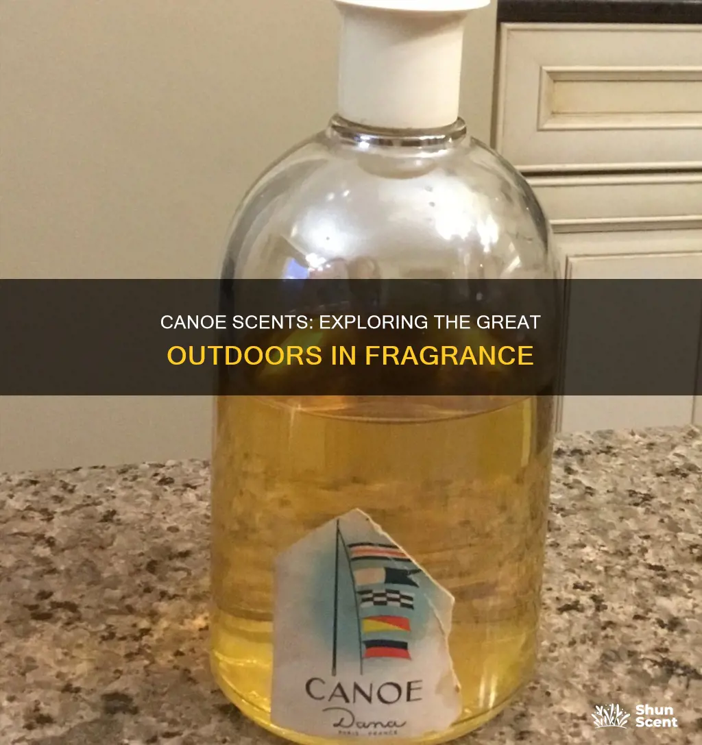 what cologne smells like canoe