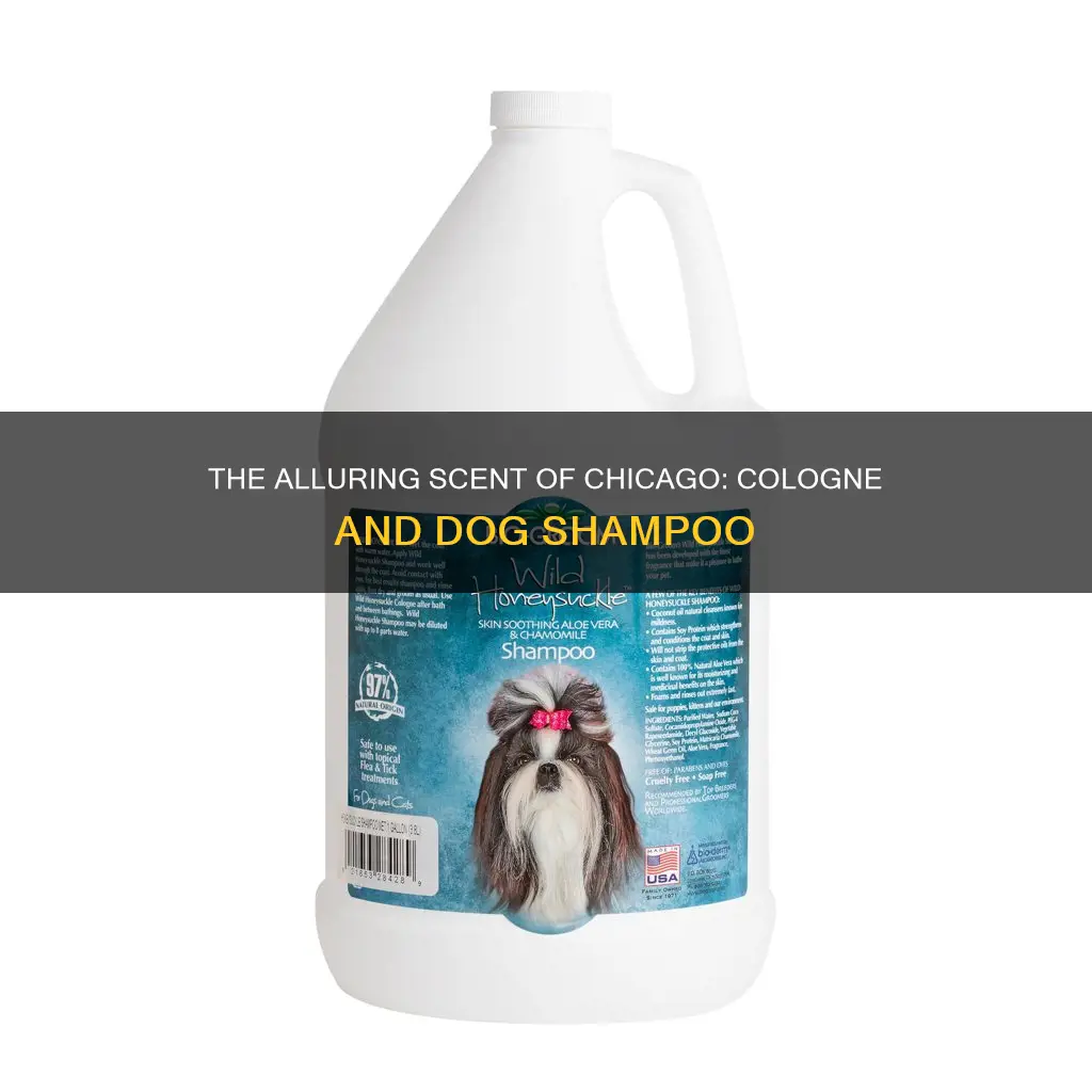 what cologne smells like chi dog shampoo