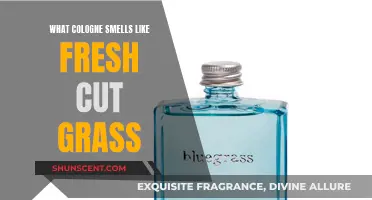 Freshly Cut Grass: Which Colognes Capture This Scent?