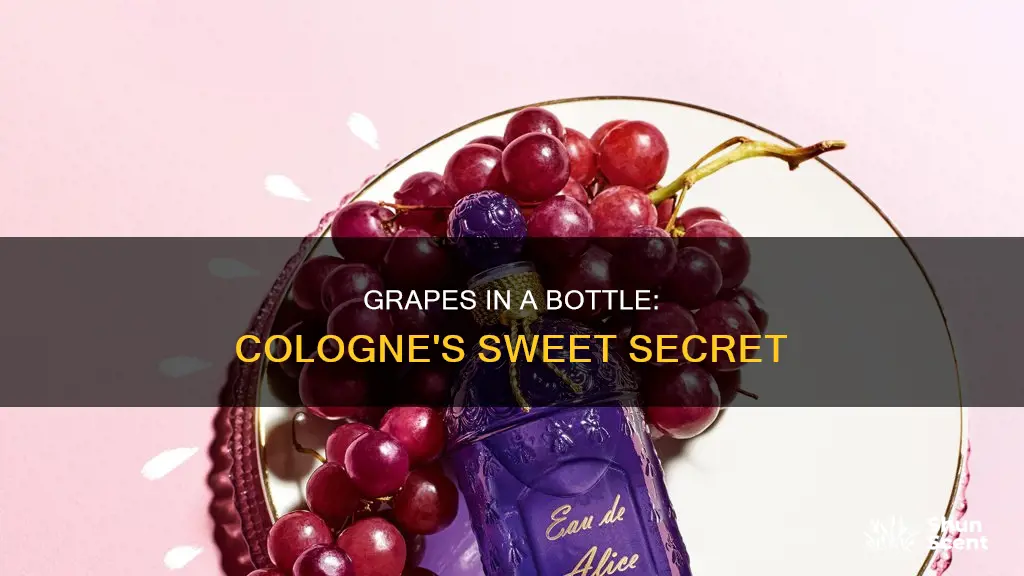 what cologne smells like grapes