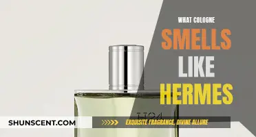 The Scent of Luxury: Hermes' Signature Fragrance Notes