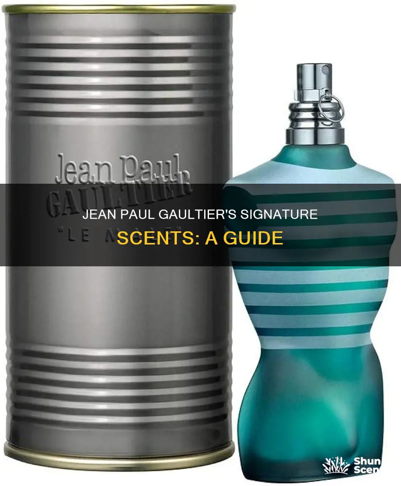 what cologne smells like jean paul gaultier