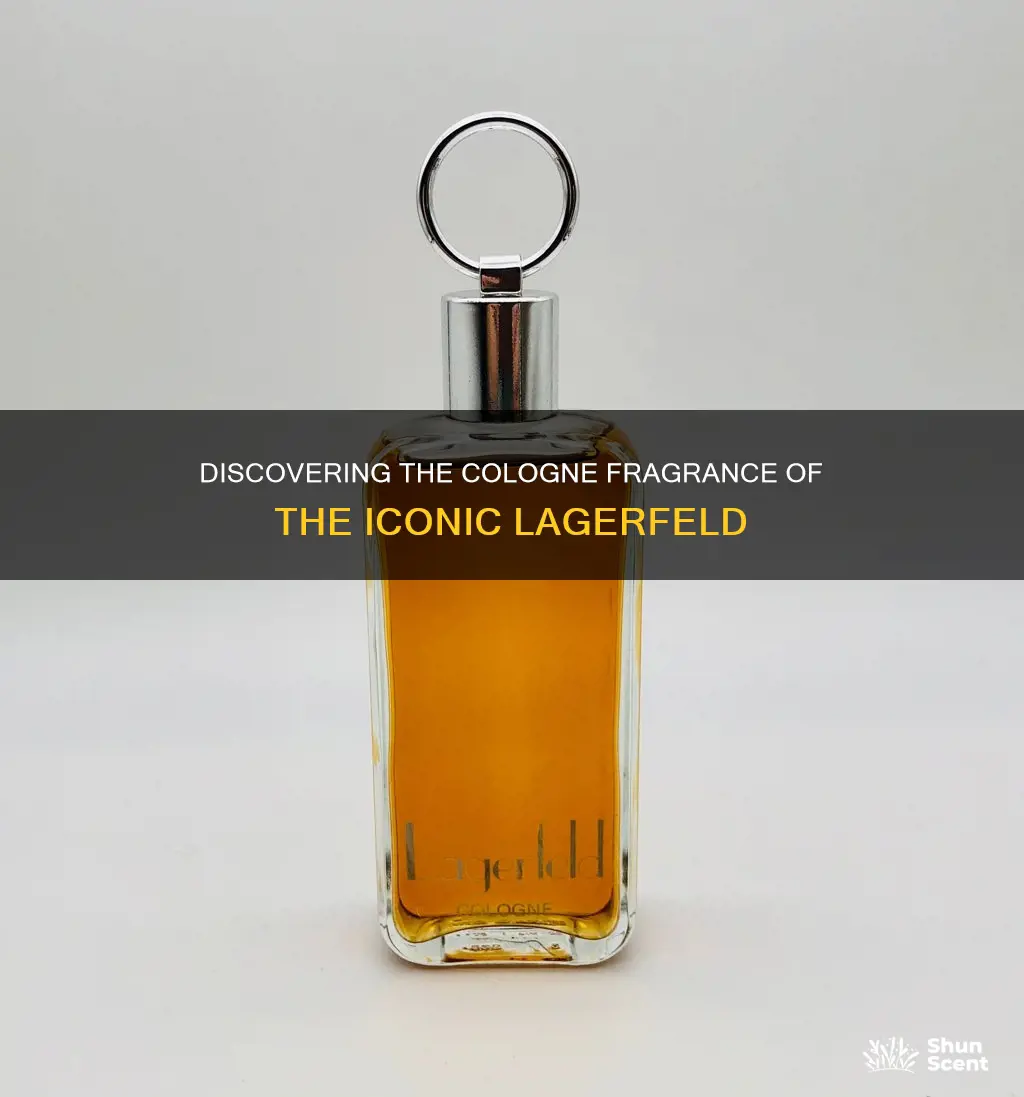 what cologne smells like lagerfeld