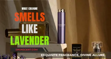 Best Lavender-Scented Colognes for Men