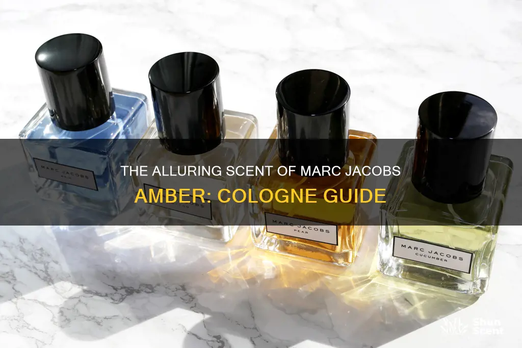 what cologne smells like marc jacob amber