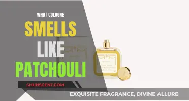 Finding the Perfect Patchouli Scented Colognes for Men