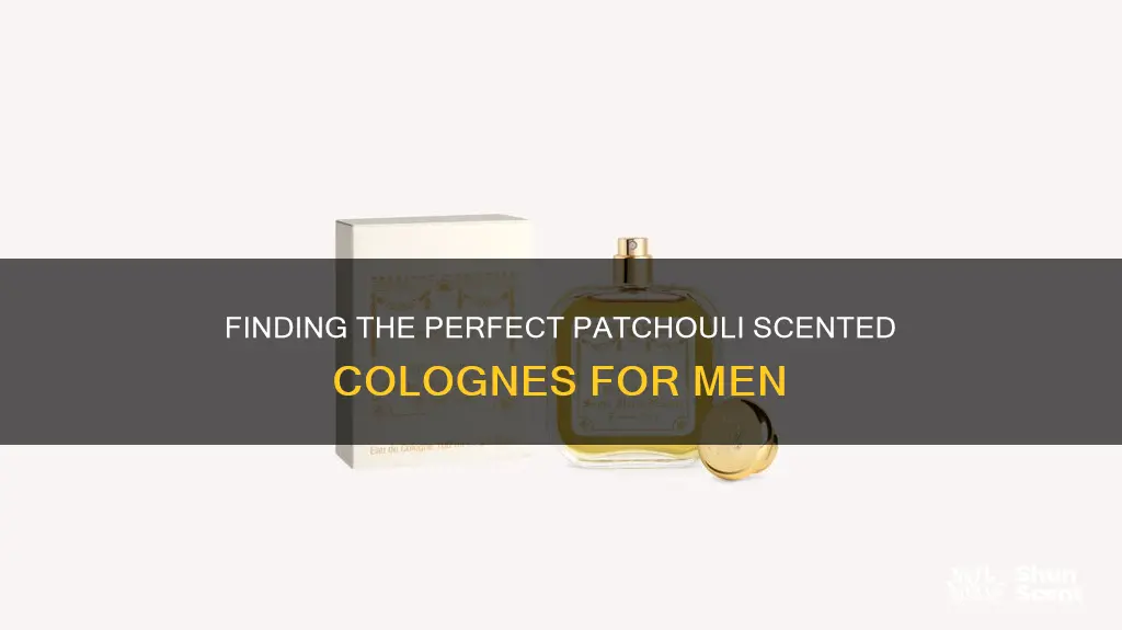 what cologne smells like patchouli