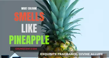 Pineapple-Scented Colognes: A Tropical Fragrance Adventure