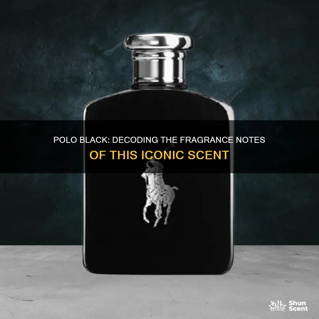 what cologne smells like polo black