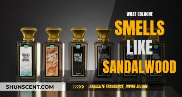 Sandalwood Scents: Finding the Perfect Cologne