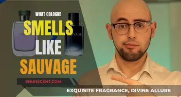 Sauvage Scents: Exploring Similar Fragrances for Men