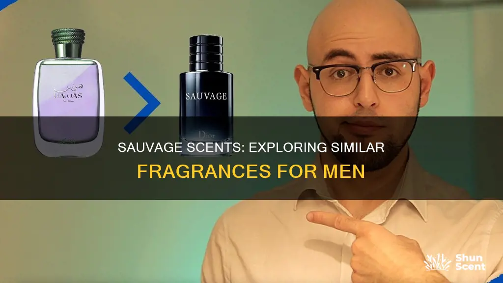 what cologne smells like sauvage