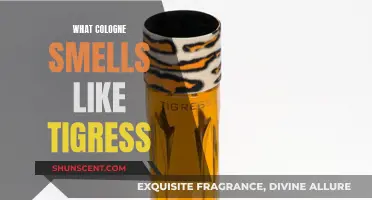 Tigress-Inspired Scents: Fragrances That Roar With Confidence