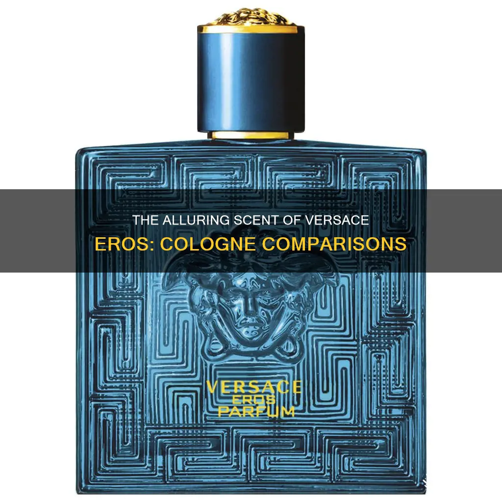 what cologne smells like versace eros