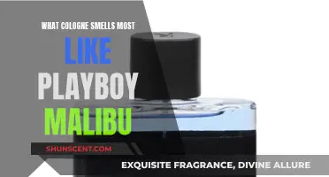 Malibu Playboy: What Colognes Smell Like Summer?